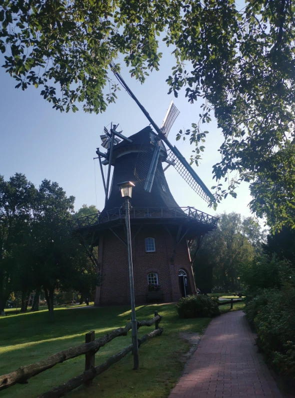 Main Image