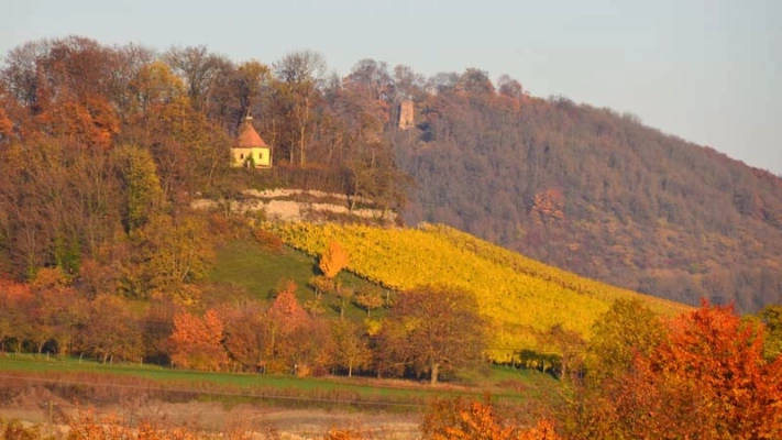 Main Image