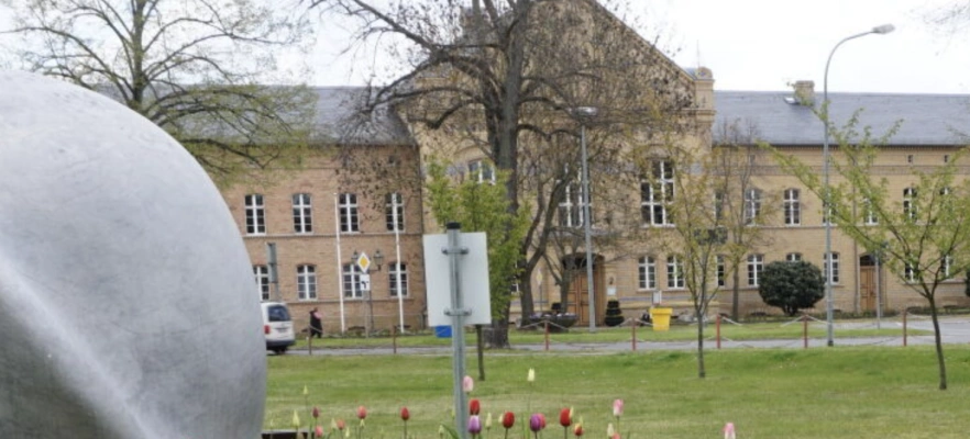 Main Image