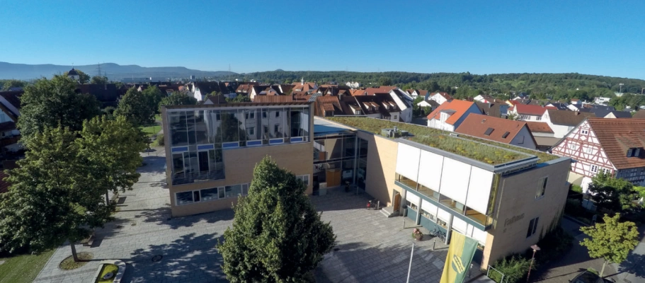 Main Image
