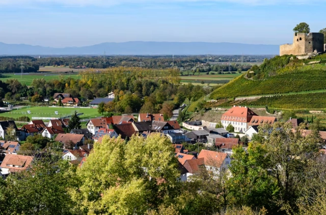 Main Image