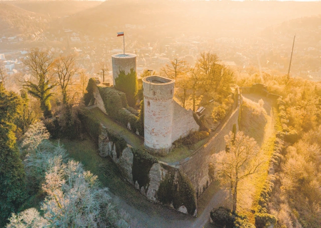 Main Image