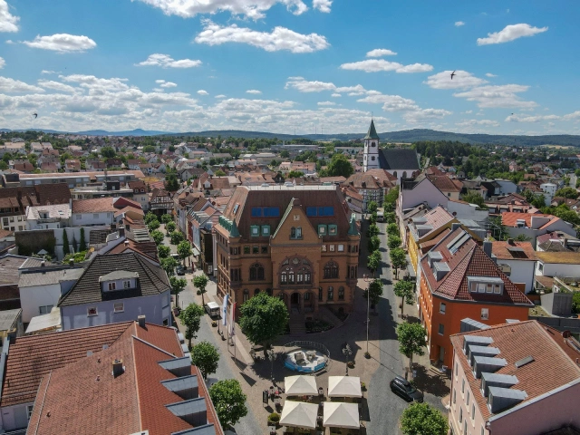Main Image