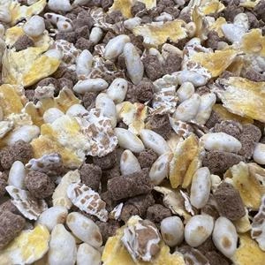 Kbers Hundefutter | Zoofachhandel & Tierbedarf in Wattenscheid