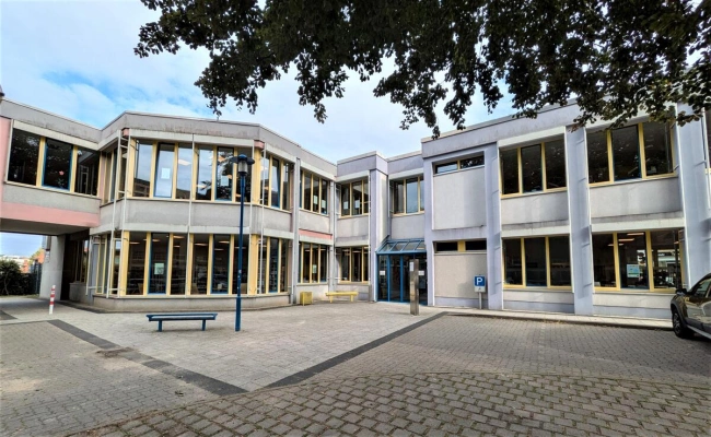 Main Image