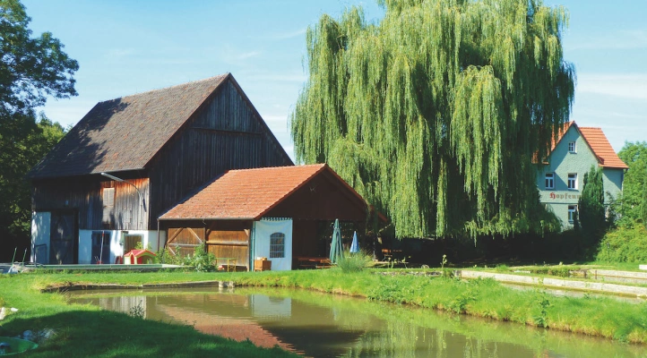 Main Image