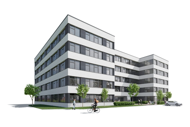 Main Image