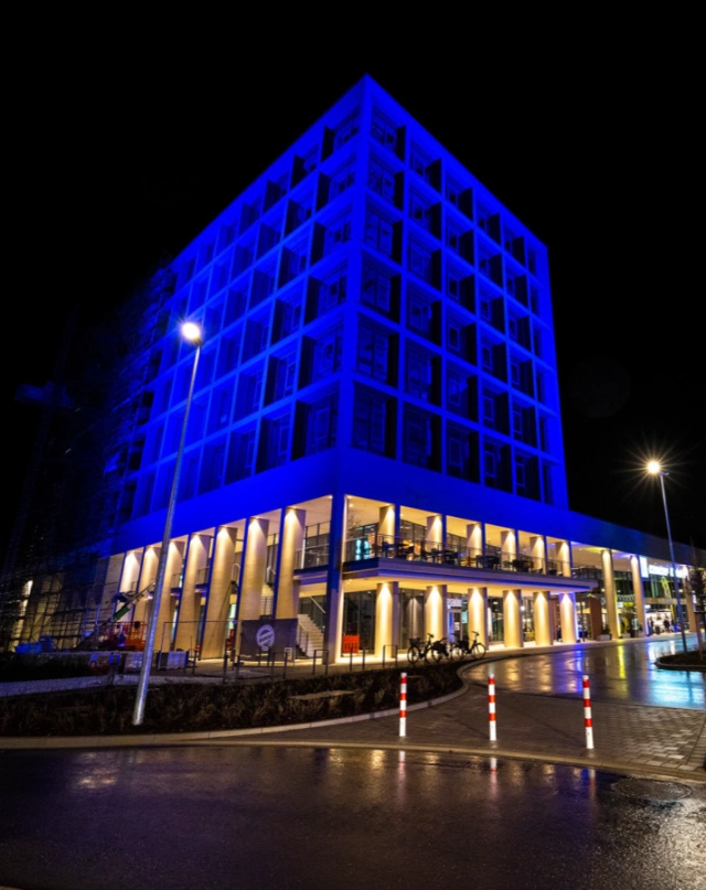 Main Image