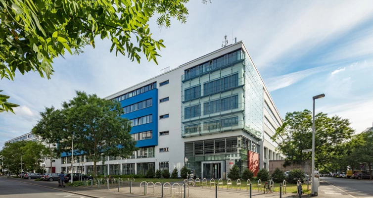 Main Image