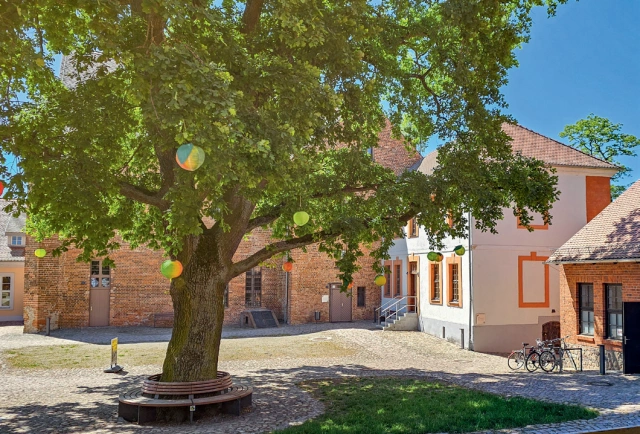 Main Image