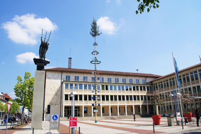 Main Image