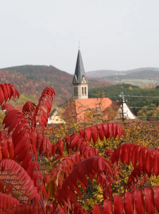 Main Image