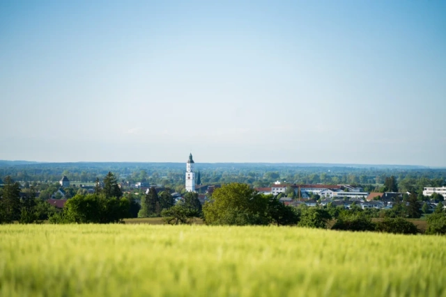 Main Image