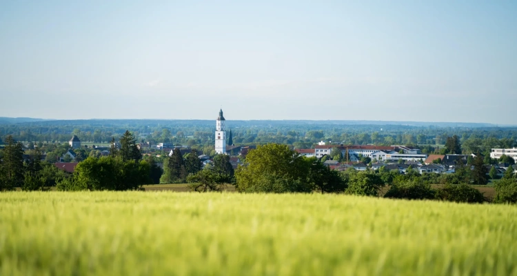 Main Image