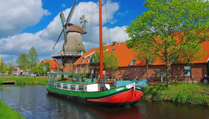 Main Image