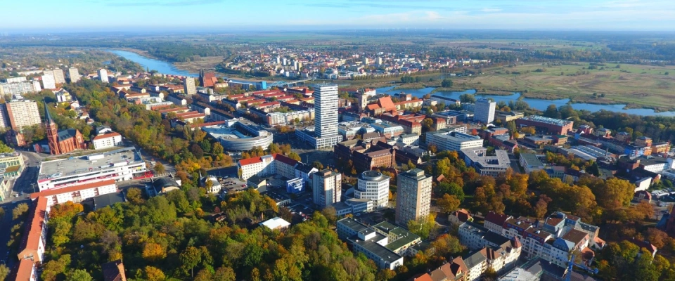 Main Image