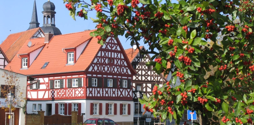 Main Image