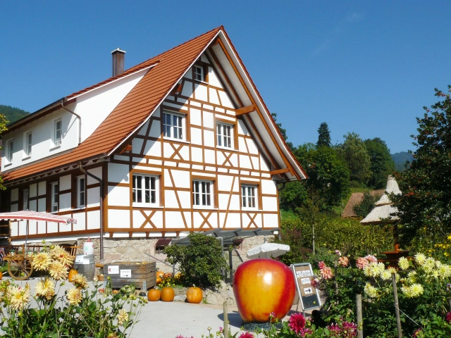Main Image