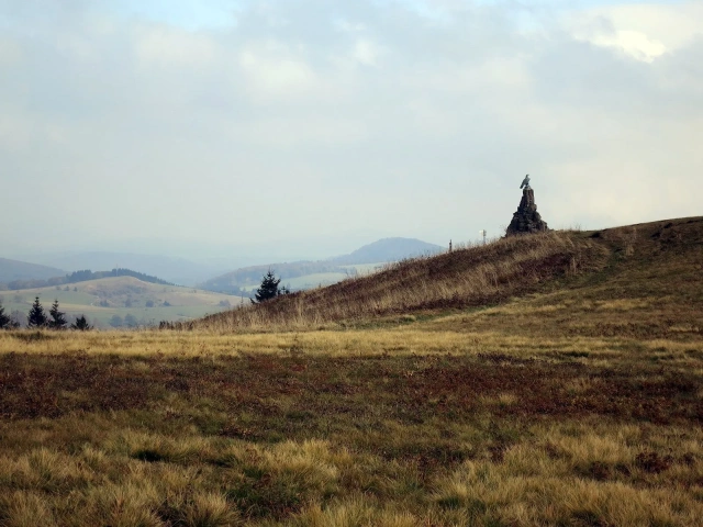 Main Image
