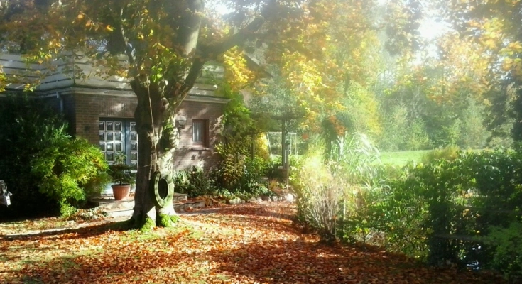 Main Image