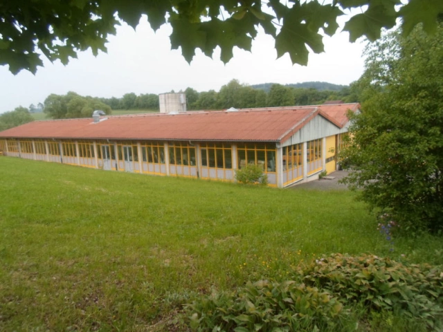 Main Image