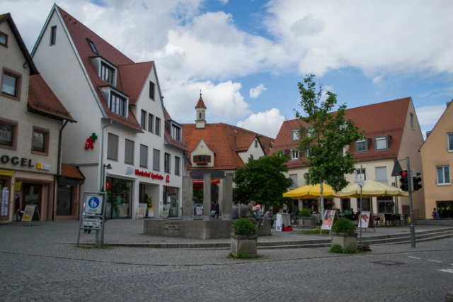 Main Image