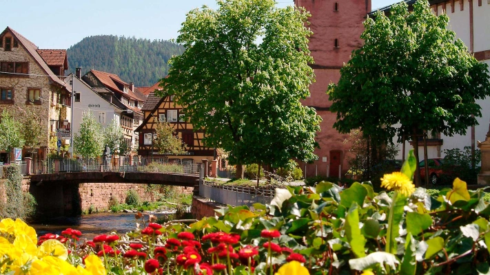 Main Image