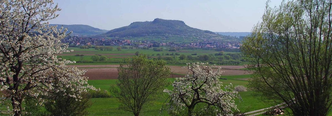 Main Image