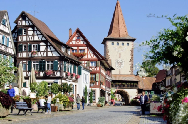 Main Image