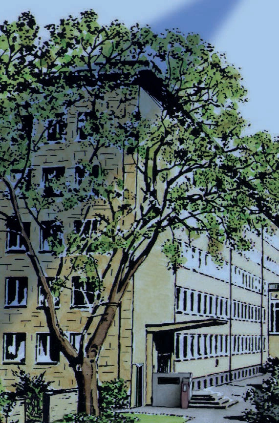 Main Image